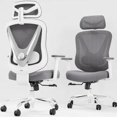 HOLLUDLE Chaise de Bureau Ergonomique avec Support Lombaire 3D & accoudoirs 3D réglables – Design en V du Dos, Fauteuil de Bureau Confortable pour Bureau et Maison, Blanc