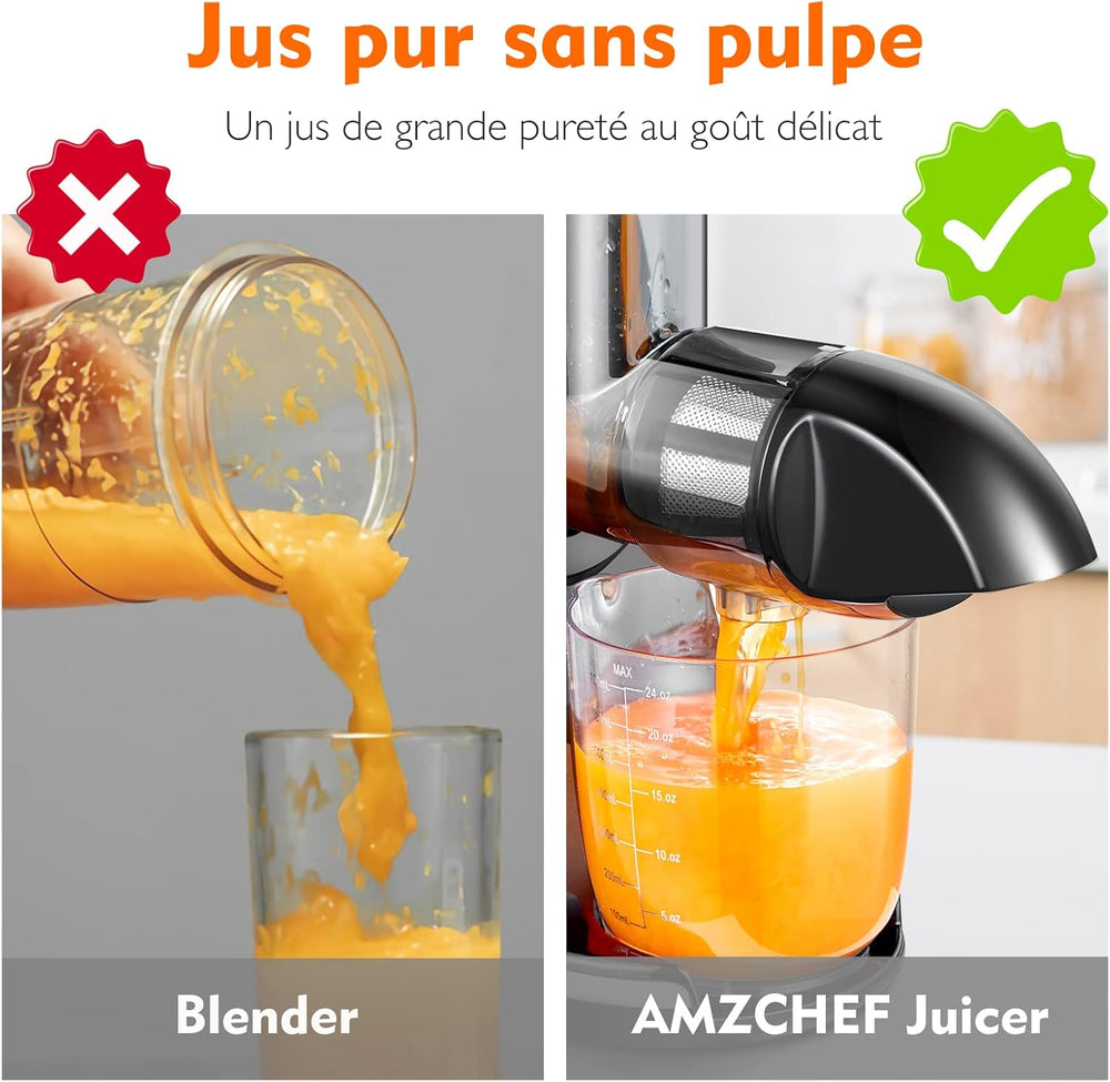 AMZCHEF Extracteur Jus - Extracteur de Jus de Fruits et Légumes - Presses-agrumes à Froid sans BPA avec 2 Tasses et Brosse - Fonction de Mastication Inversée pour Éviter les Blocages - Argent