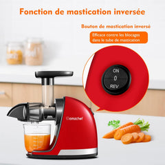 AMZCHEF Extracteur Jus - Extracteur de Jus de Fruits et Légumes - Presses-agrumes à Froid sans BPA avec 2 Tasses et Brosse - Fonction de Mastication Inversée pour Éviter les Blocages - Argent