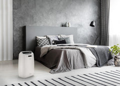 De'Longhi Tasciugo AriaDry Multi Dehumidifier DEXD216RF, Portable Dehumidifier with 3-Action Filtration, Dry Function, 16L/Day Moisture Absorption, R290, Removable Tank, White