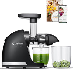 AMZCHEF Extracteur Jus - Extracteur de Jus de Fruits et Légumes - Presses-agrumes à Froid sans BPA avec 2 Tasses et Brosse - Fonction de Mastication Inversée pour Éviter les Blocages - Argent