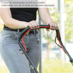 Scheppach Tondeuse à Gazon Thermique MS150-42 | Autotractée - 3,7 CV | Largeur de Coupe 42cm | Raccord Rapide de Nettoyage | Panier 45L | Hauteur - 7 Niveaux | Lame supp. + Huile Incluse