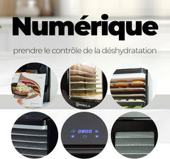 Nebula Déshydrateur Alimentaire | 6 Plateaux Acier Inoxydable | Contrôle Tactile LED | Température Réglable 35-70°C | Deshydrateur Fruits Et Légumes | Deshydratateur Alimentaire | 400W