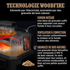 Ninja Woodfire Barbecue électrique et fumoir Pro XL avec thermomètre, barbecue et Air fryer d'extérieur 4-en-1 avec système Smart Cook et granulés Woodfire, portatif, gris/noir, OG850EU