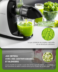AMZCHEF Extracteur Jus - Extracteur de Jus de Fruits et Légumes - Presses-agrumes à Froid sans BPA avec 2 Tasses et Brosse - Fonction de Mastication Inversée pour Éviter les Blocages - Argent