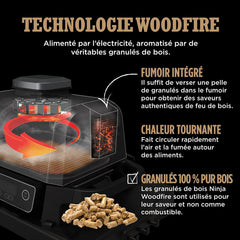 Ninja Woodfire Barbecue électrique et fumoir Pro XL avec thermomètre, barbecue et Air fryer d'extérieur 4-en-1 avec système Smart Cook et granulés Woodfire, portatif, gris/noir, OG850EU