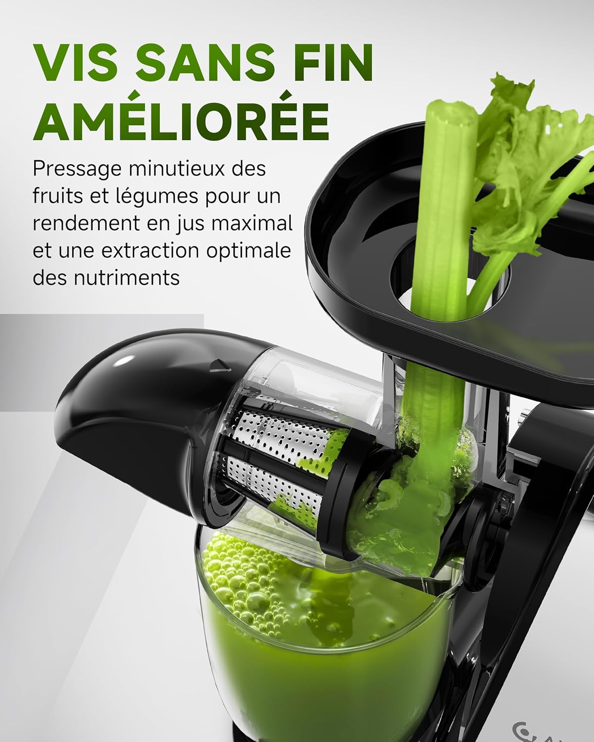 AMZCHEF Extracteur Jus - Extracteur de Jus de Fruits et Légumes - Presses-agrumes à Froid sans BPA avec 2 Tasses et Brosse - Fonction de Mastication Inversée pour Éviter les Blocages - Argent