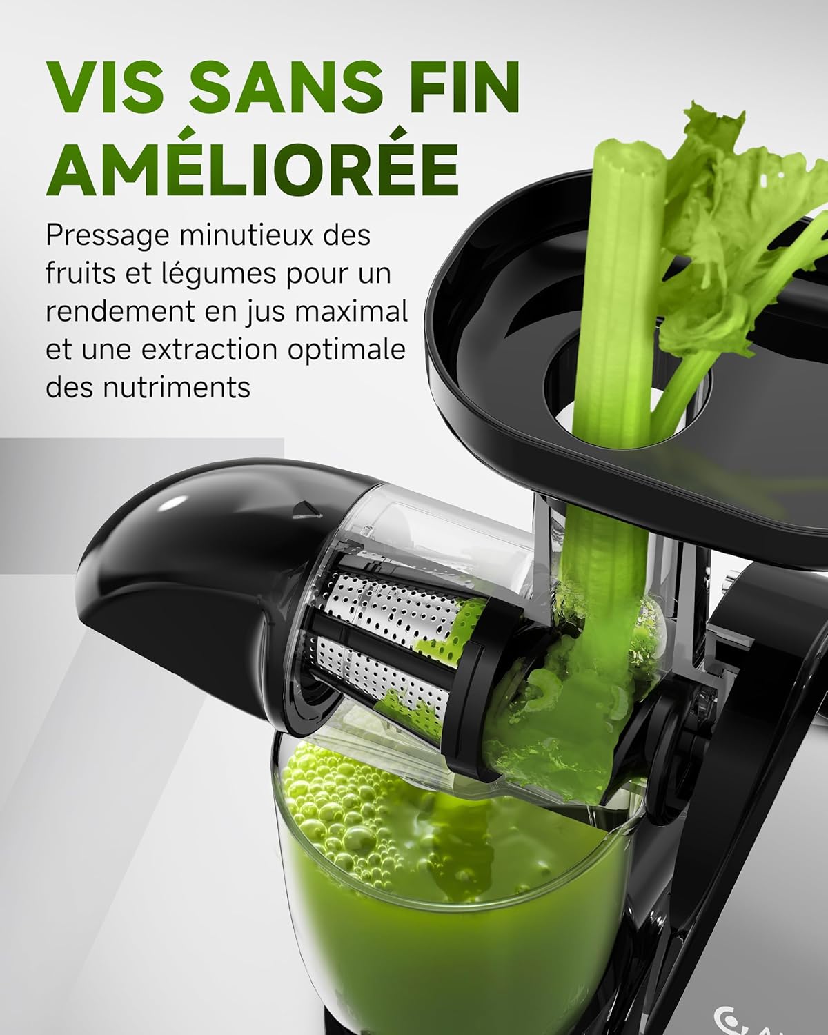 AMZCHEF Extracteur Jus - Extracteur de Jus de Fruits et Légumes - Presses-agrumes à Froid sans BPA avec 2 Tasses et Brosse - Fonction de Mastication Inversée pour Éviter les Blocages - Argent