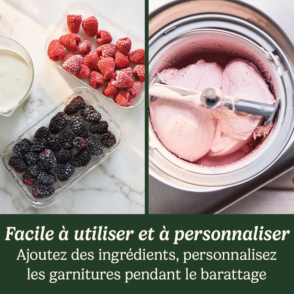 Cuisinart Sorbetière - Fait de la crème glacée, du gelato, du sorbet et du yogourt glacé en 40 minutes - Desserts maison - Facile à utiliser - Acier inoxydable - ICE100BCU